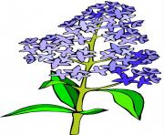 flower clipart 733336