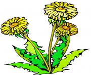 flower clipart 652180