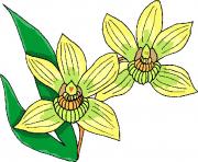 flower clipart 735806