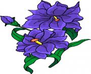 flower clipart 623119