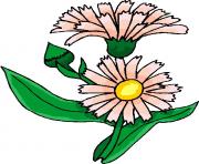 flower clipart 421900