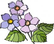 flower clipart 876380