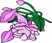 flower clipart 139419