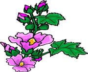 flower clipart 531739