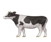 ios emoji cow