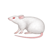 ios emoji mouse