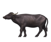 ios emoji water buffalo