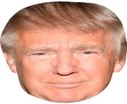 trump front face zen png