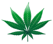 pot leaf png 3d