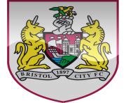 bristol city