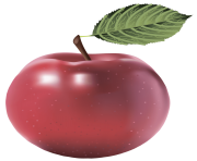 17 apple png image