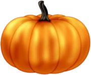 5 2 pumpkin picture