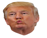 donald trump head kiss png