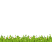 grass png 4