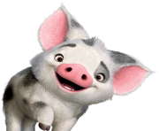 Pua Moana transparent png