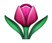 ios emoji tulip