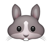 ios emoji rabbit face
