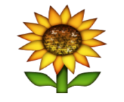 ios emoji sunflower