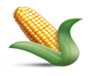 ios emoji ear of maize