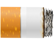 Cigarette with Ash PNG Clipart