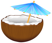 Coconut Cocktail PNG Clip Art