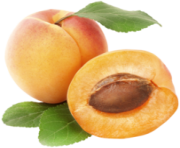 Apricots PNG Clipart