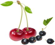 Cherries and Blueberries PNG Clipart