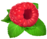 Raspberry png image
