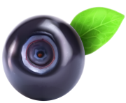 Blueberry PNG Clipart