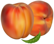 Peaches PNG Clipart