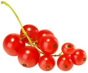 Red Currants PNG Clipart