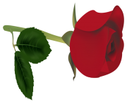 Red Rose Bud PNG Clipart