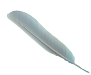 feather png image with transparent background