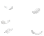five feathers falling no background png