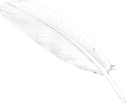 Five Feathers Falling No Background Png