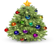 fir tree png transparent christmas clipart