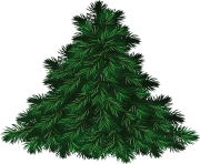 fir tree png transparent 3694