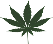 dark green marijuana leaf png vector