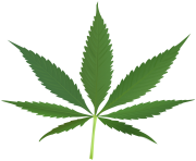 cannabis leaf hd