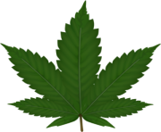 cannabis leaf png md