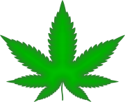 Marijuana Leaf Green Png Weed