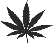 CANNABIS WEED LEAF PNG Free Images