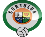 cd tuluc3a1 football logo png