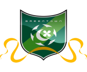 hangzhou greentown fc football logo png