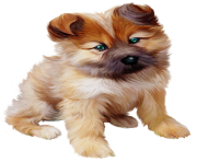 Puppy PNG Photos