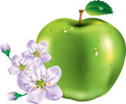 15 green apple png image
