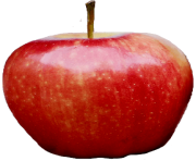 92 png apple image clipart transparent png apple