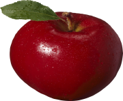 24 png apple image clipart transparent png apple