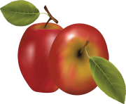 27 red apple png image