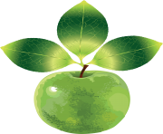 21 green apple png image